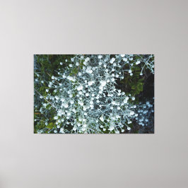 decoración de pared fotográfica