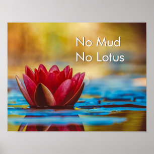 Decoración de pared Zen Mindfulness No Mud No Lotu