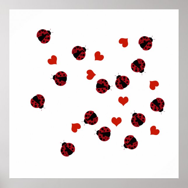 decoración de patrones de ladybugs (Frente)