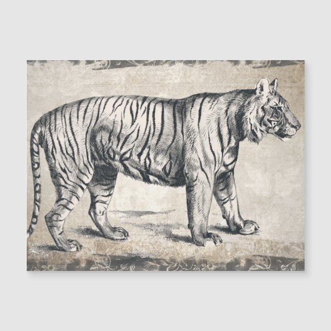 Decoración de tigres de vida silvestre (Anverso)