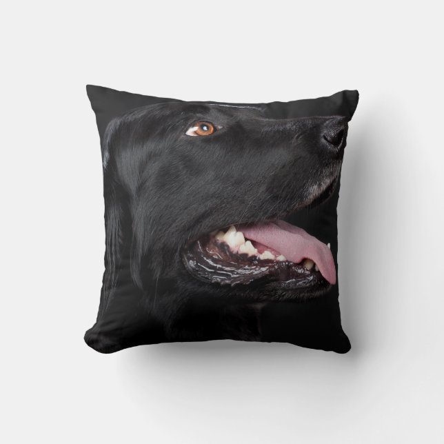 Decoración del hogar del Cojín decorativo de perro (Anverso)