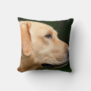 Decoración del hogar del Cojín decorativo del