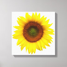 Decoración envuelta girasol de la lona del día
