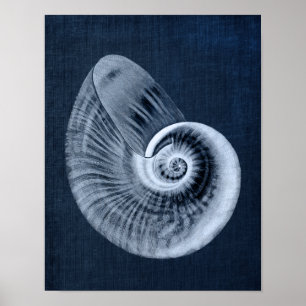 Decoración marina Blue Beach Art Imprimir No. 11