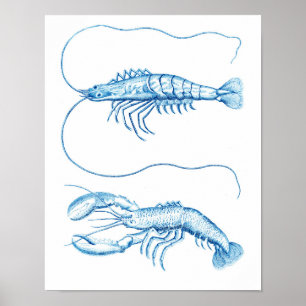 Decoración náutica azul de los crustáceos No.6 del