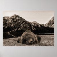 Decoración rústica de cabaña Oso Durmiente paisaje