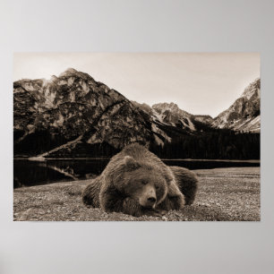 Decoración rústica de cabaña Oso Durmiente paisaje