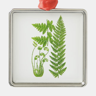Decoración tropical botánica del ilustracion No.7