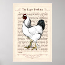 Decoración vintage de la cocina de campo de pollo