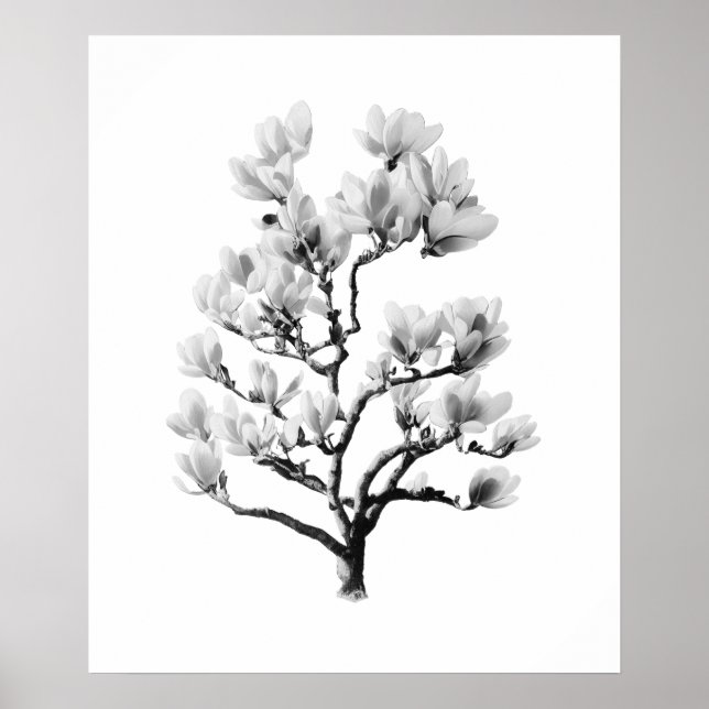 Decoración y arte en las paredes (Frente)