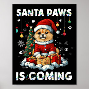 Decoraciones de árboles de navidad de Pomerania