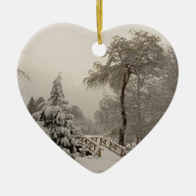 Decoraciones de los árboles de la nieve del (Frente)