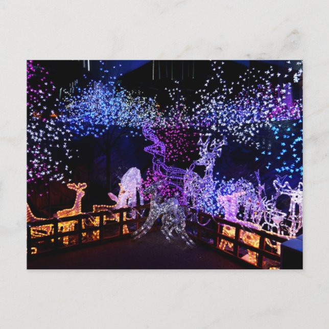 Decoraciones De Navidad Rosa Y Púrpura Al Aire Lib (Anverso)