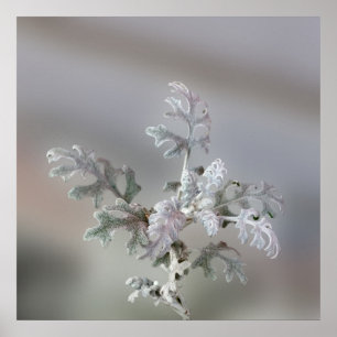 Decoraciones navideñas naturales