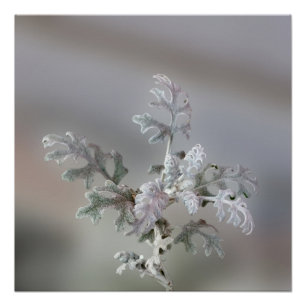 Decoraciones navideñas naturales