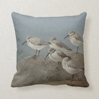 Decorativo Aves costeras/Sanderlings que atontan el Cojín