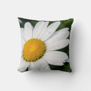 Decorativo Cojín foto, un margueritte, hacen verde