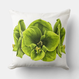 Decorativo Cojín Retro Pop Art Amaryllis Verde