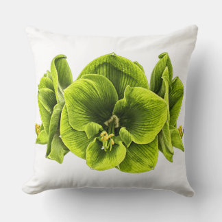 Decorativo Cojín Retro Pop Art Amaryllis Verde