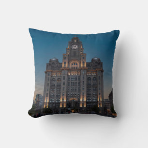 Decorativo El cojín del edificio del hígado