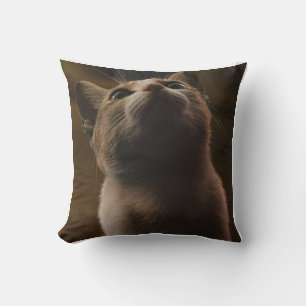 Decorativo Hermoso cojín de gato naranja mirando hacia arriba