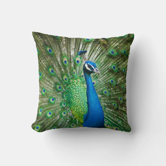 Decorativo Hermoso cojín de pavo real macho (Anverso)