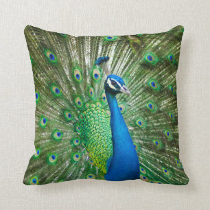 Decorativo Hermoso cojín de pavo real macho