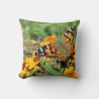 Mariposa Pintada en Cojín de Zinnia