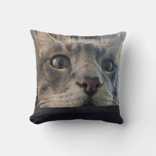 Decorativo ¿Qué pasa, gato? Cojín