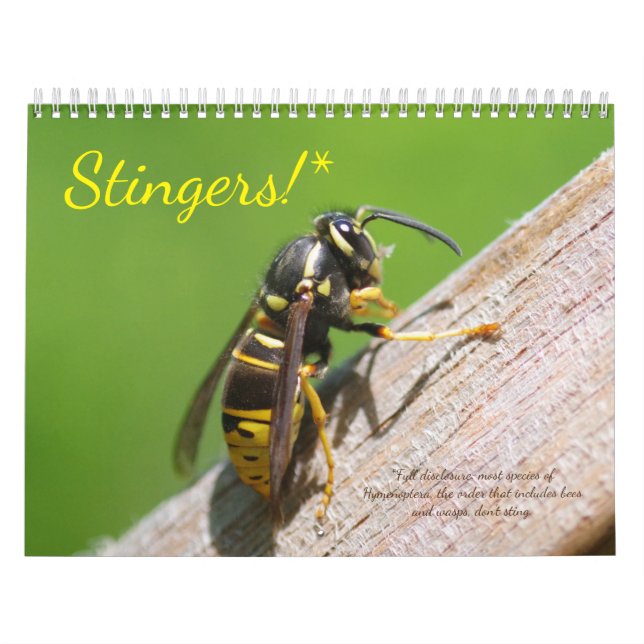¡Dedos! Un calendario de abejas y avispas (Tapa)