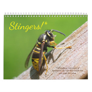 ¡Dedos! Un calendario de abejas y avispas