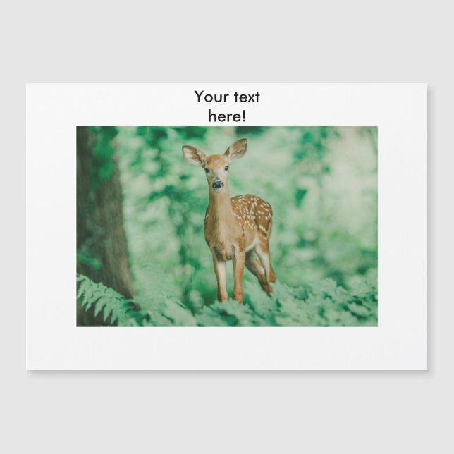 Deer (Anverso)