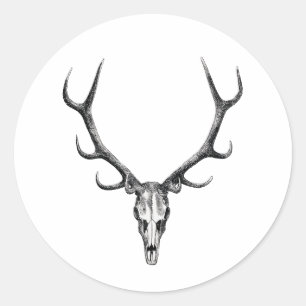 Deer Antler Skeleton Skull Pegatina