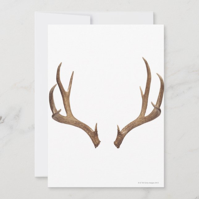 Deer de diez puntos (Anverso)