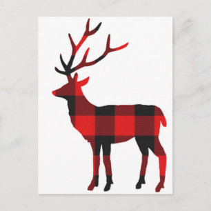 Deer de relleno de búfalo   Postal