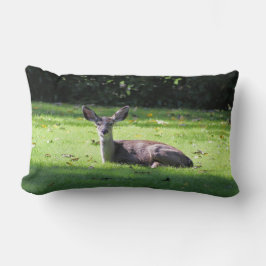 Deer en paro en césped con almohada lumbar