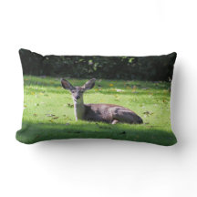 Deer en paro en césped con almohada lumbar
