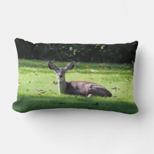 Deer en paro en césped con almohada lumbar