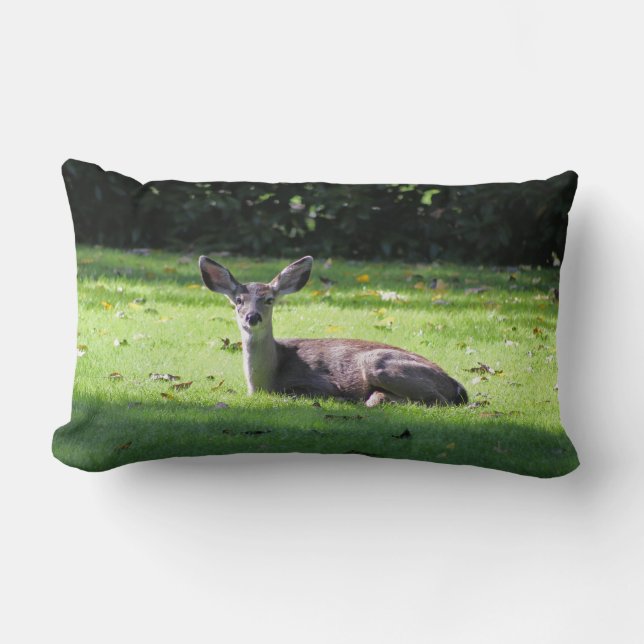 Deer en paro en césped con almohada lumbar (Anverso)