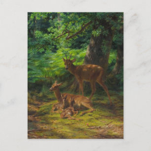 Deer en reposo por la postal Rosa Bonheur
