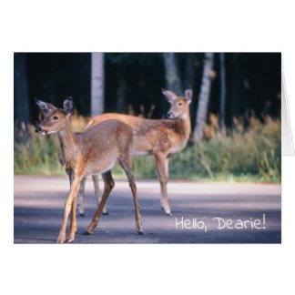 Deer, Hello Dearie