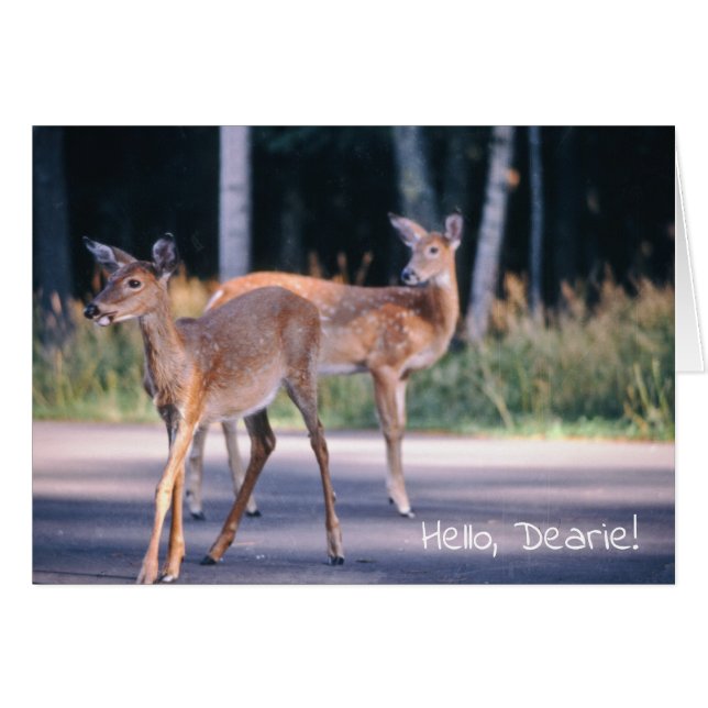 Deer, Hello Dearie (Anverso (Horizontal))