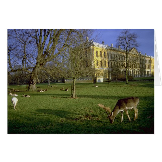 Deer park, Magdalen College, Oxford, Reino Unido. (Anverso (Horizontal))