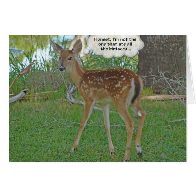 Deer pensando en las semillas de aves (Anverso (Horizontal))