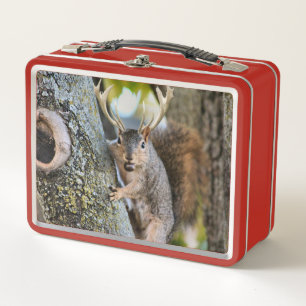 Deer Squirrelly