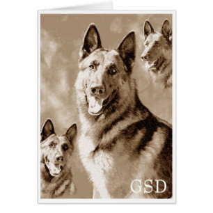 Definición de GSD