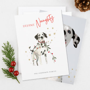 Definir divertido perro travieso foto Navidad acua