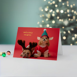 Definitivamente Navidades de la mala foto Mascota