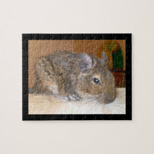 Degu Relaxing Puzzle