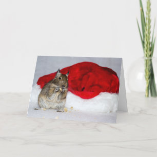 Degu y navidad del gorra de Santa